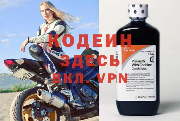 индика Верхний Тагил