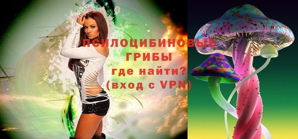 дмт Вязьма