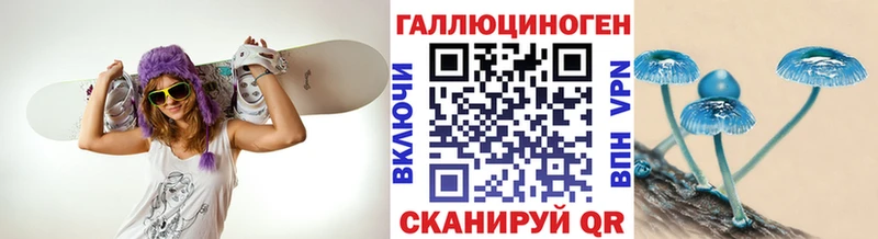 Псилоцибиновые грибы Magic Shrooms  где можно купить наркотик  Дзержинский 